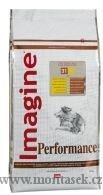 Imagine Performance 500g