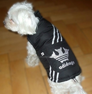 Zimní vesta pro psa adidogs
