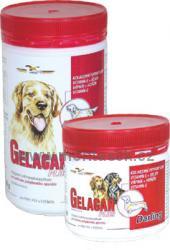Gelacan darling plus