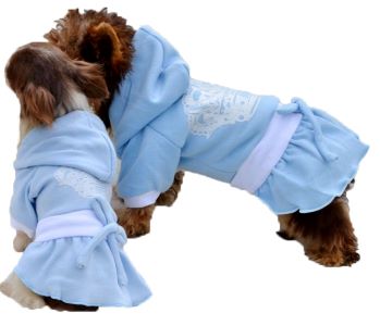 Pejsci a jejich potřeby