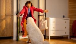 Pes do bytu - Psí plemena vhodná do bytu