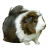 HLODAVCI, POTŘEBY PRO HLODAVCE