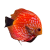 AKVARISTIKA