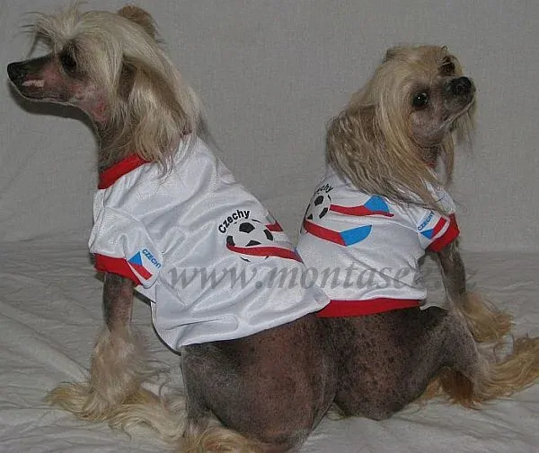 Dres pro malého psa fotbal 28-32cm