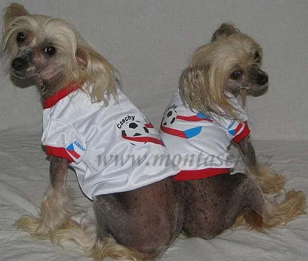 Dres pro malého psa fotbal 28-32cm