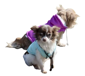 Vesta pro psa 18-23cm červená