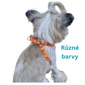 Postroj pro psa Tlapky 10mm