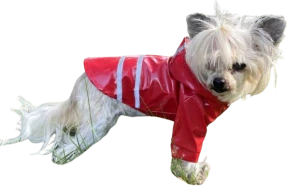Červená pláštěnka pro psa