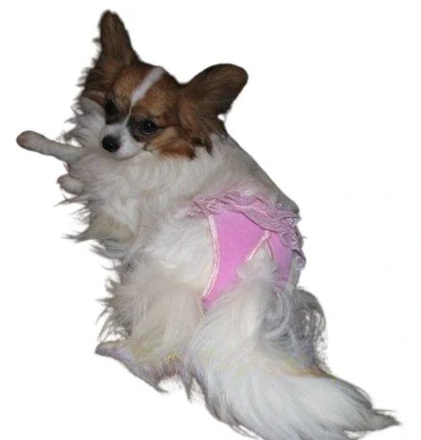 Kalhotky pro hárající fenky růžové s volánky