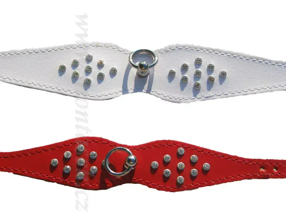 Elegantní obojky pro psy s kamínky, menší plemena