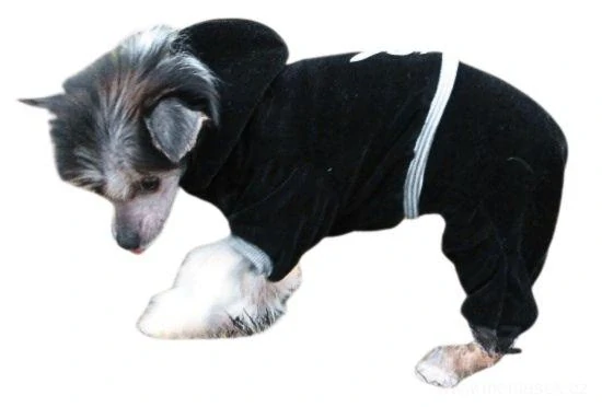 Overal pro psa černý, zajíc  