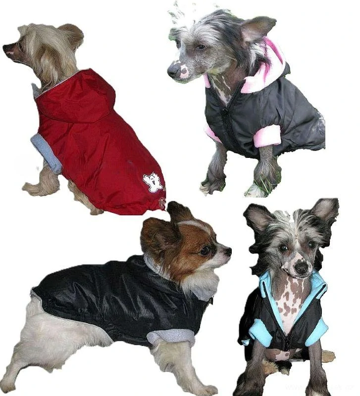 Vesta pro psa 40cm vel. 2L černo modrá