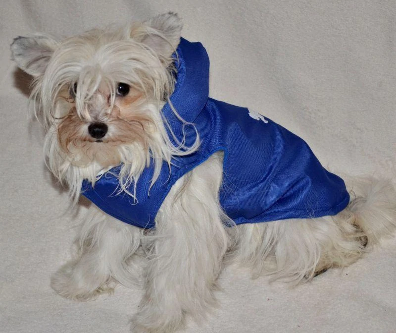 Vesta pro psa 24-29cm červená