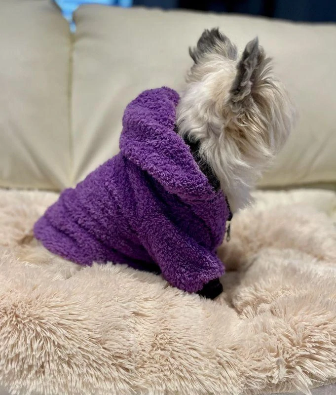 Mikina pro psa, fialová na zip 