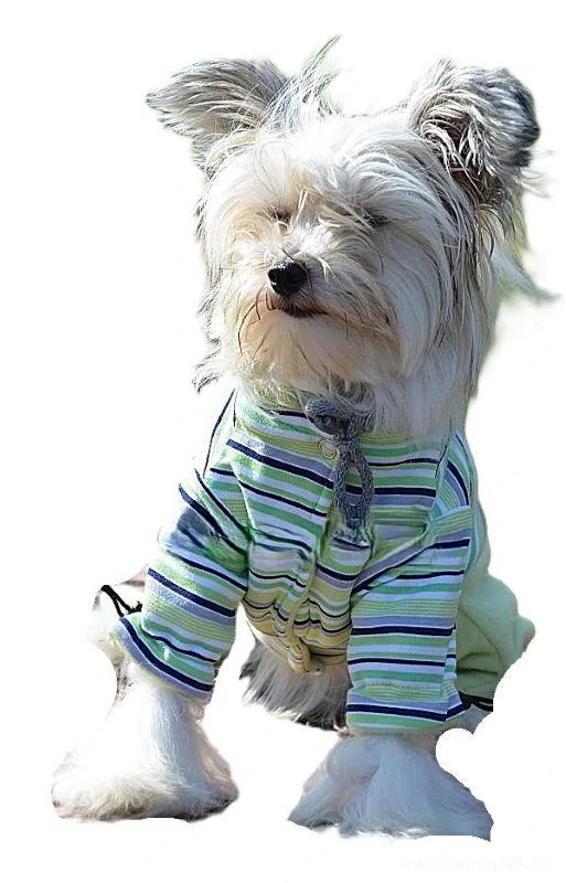 Zimní kombineza pro malého psa zelená 30cm