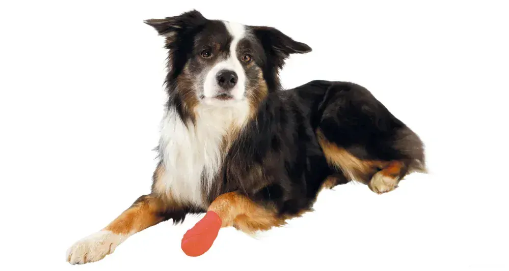 Samodržící bandážová obinadla s hořkou přísadou