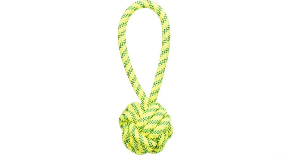 Plovoucí hračky pro psy, míček neon 21cm