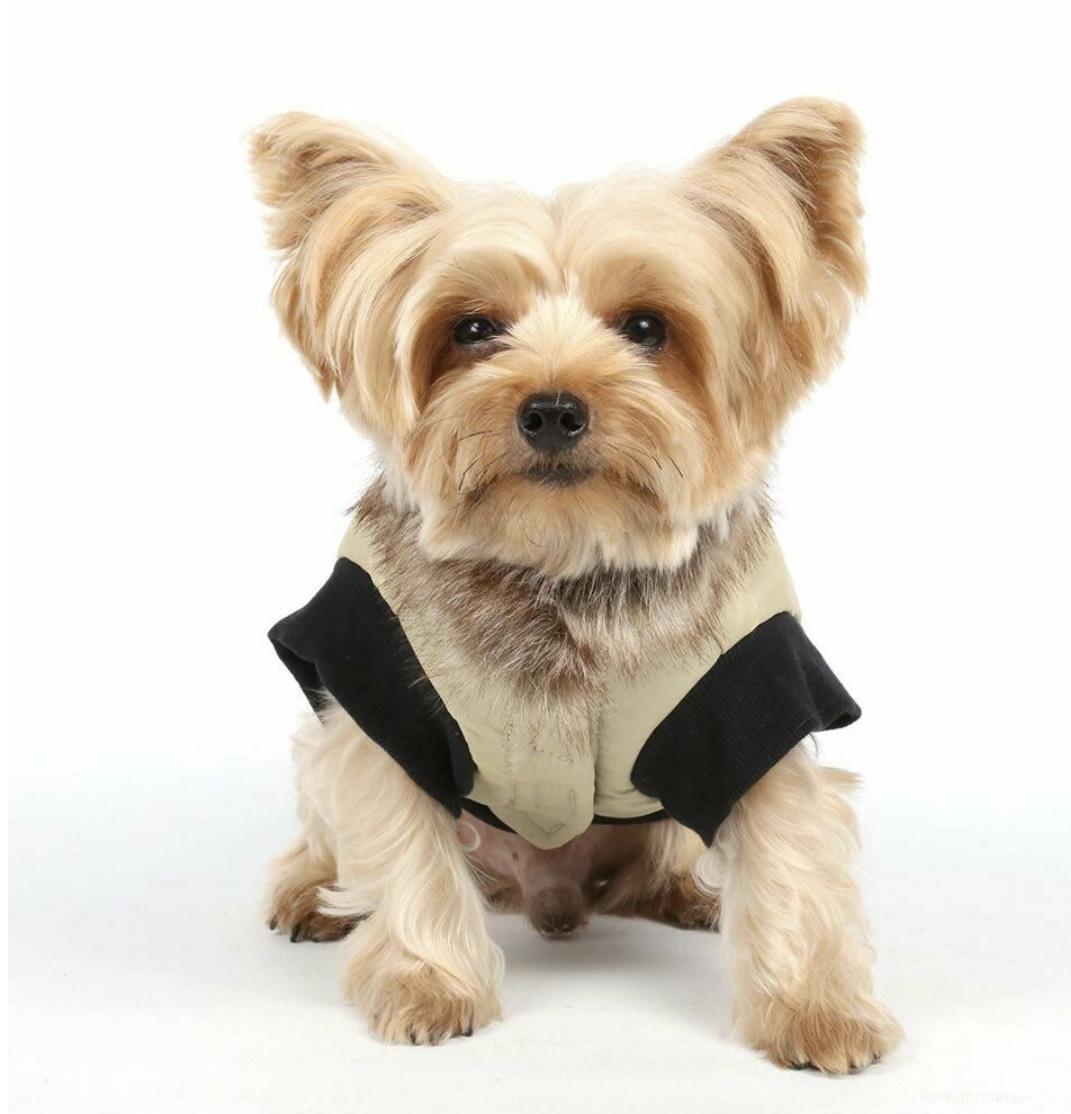 Zimní vesta pro psa 28cm Doggydolly