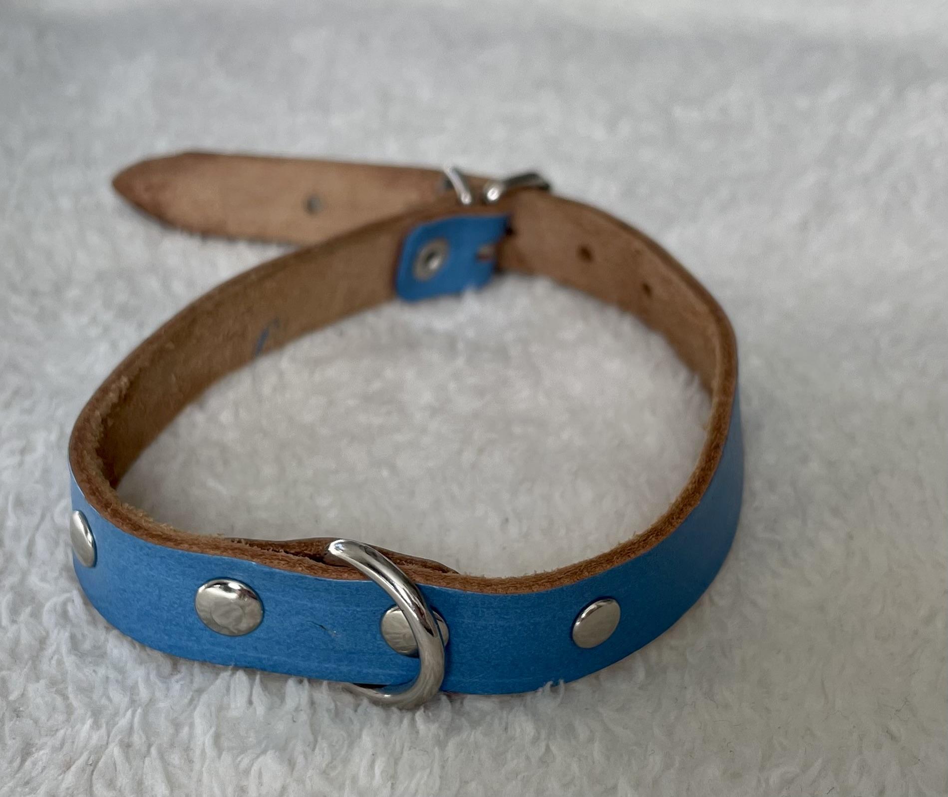 Modrý kožený obojek pro psa 12mm 35cm