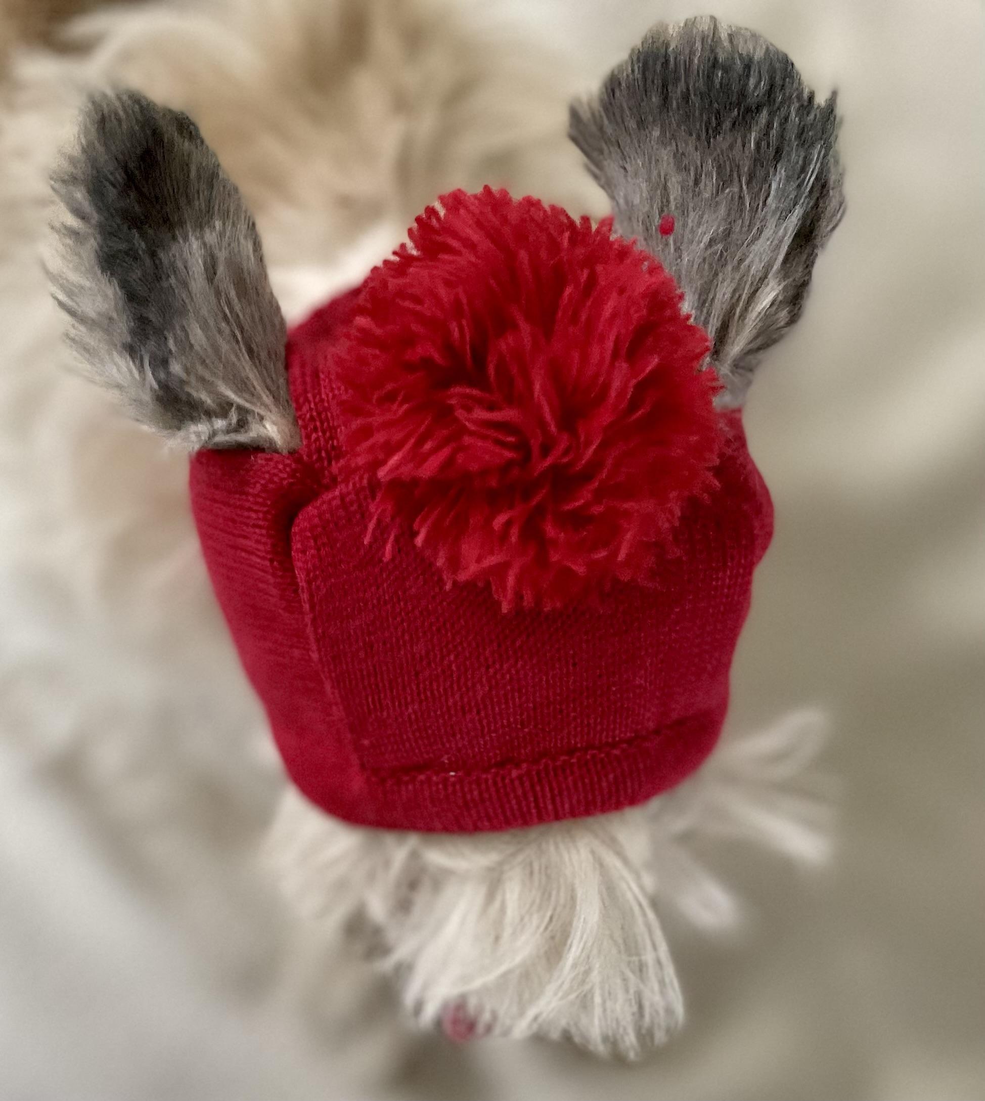 Růžová zimní čepice pro psa