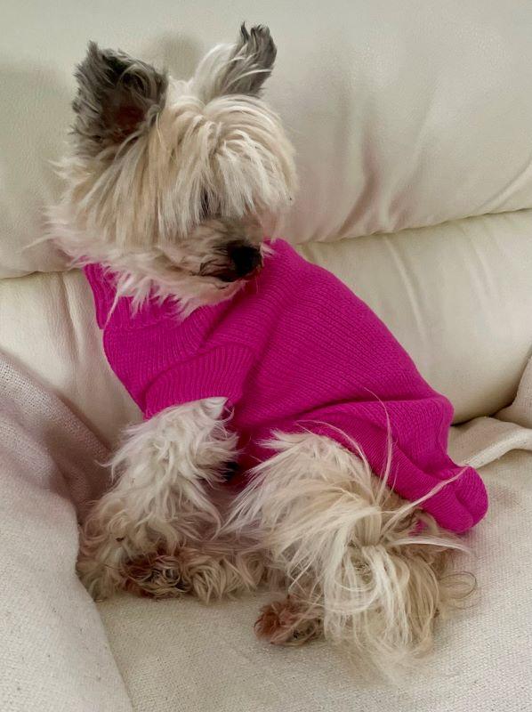 Svetr pro psa Valencia růžový