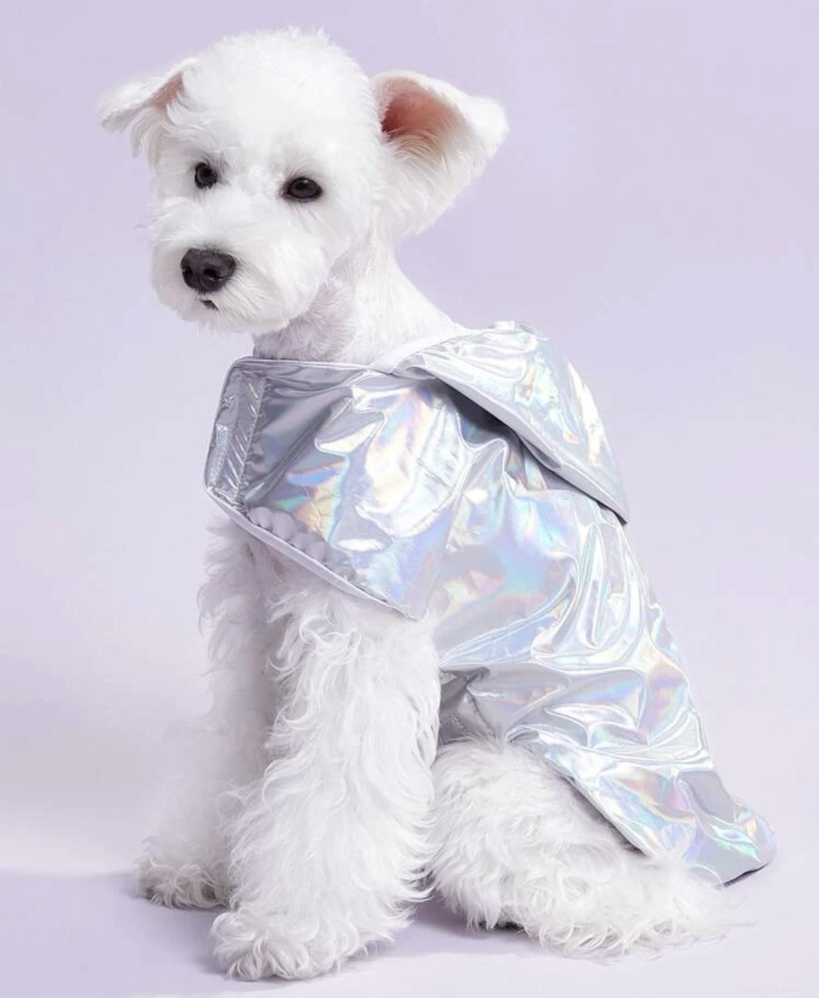 Pláštěnka, vesta pro psa stříbrná