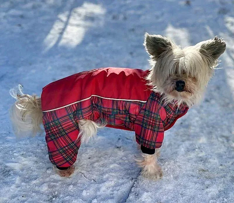 Červená zimní kombineza pro psy s tlapkou 30-35cm