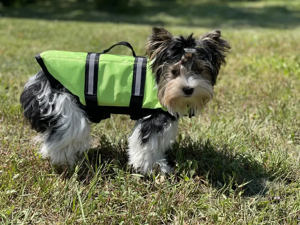 Plovací vesta pro psa zelená