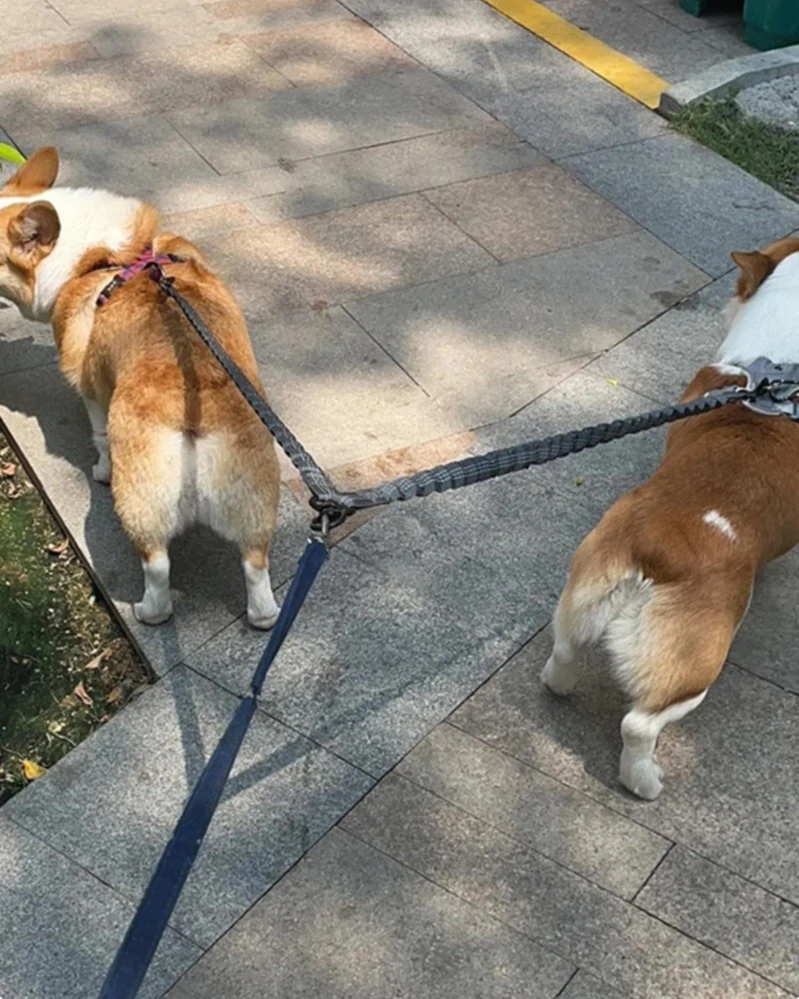 Pružná rozdvojka pro psy, tlumič tahu