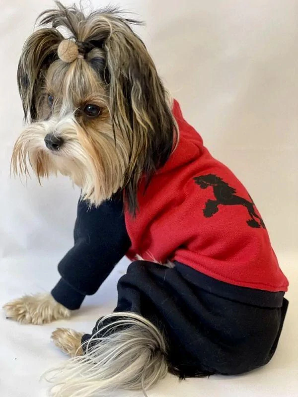 Teplákovka čínský chocholatý pes 30-35cm