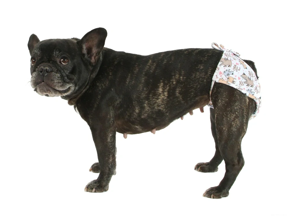 Kalhotky pro psy bílá M