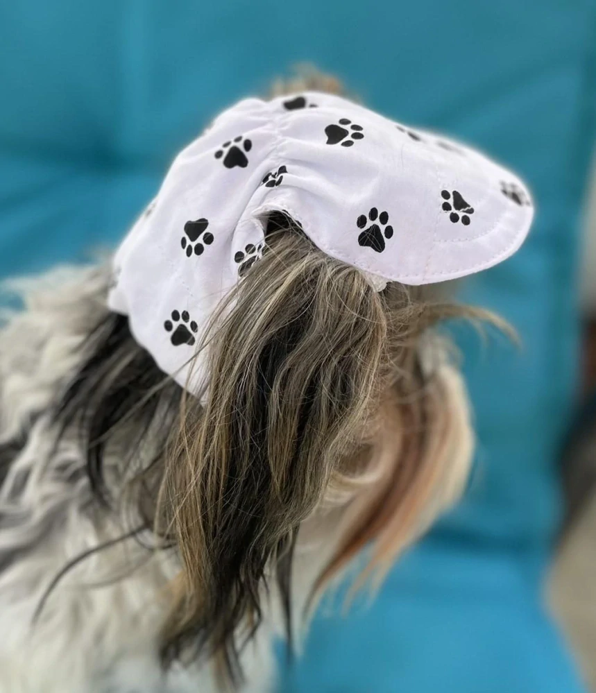 Kšiltovka pro psa tlapky