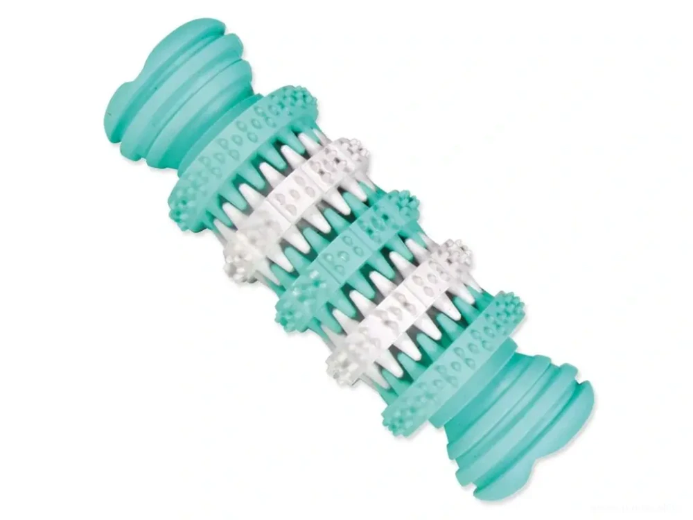 Dentafun kost pro psa s mátou zelenobílá  Trixie