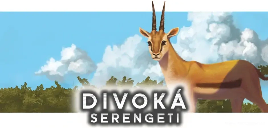 Divoká Serengeti Půjčovna