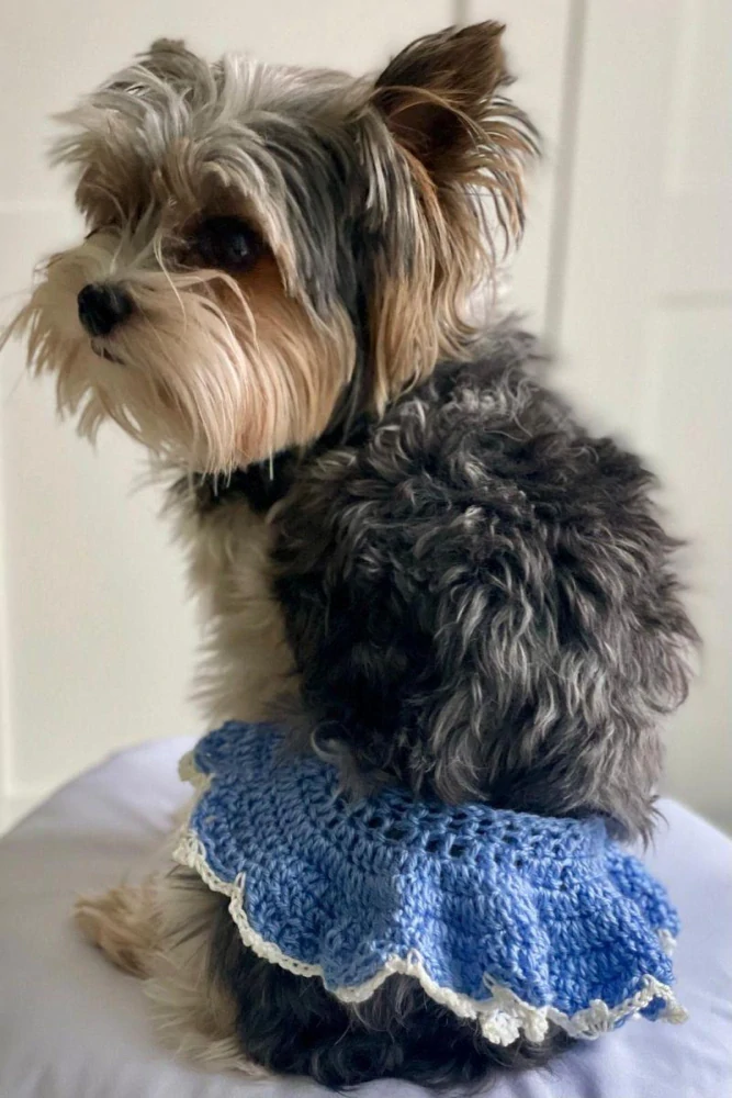 Modrá háčkovaná sukně pro psy