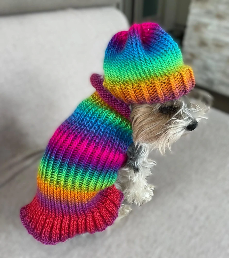 Zimní čepice pro psy duhová