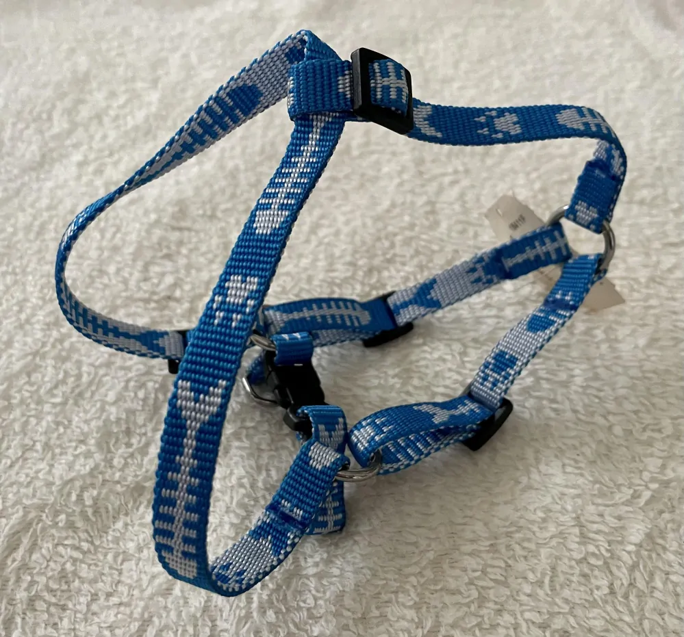 Modrý postroj pro psy kolekce Fish bones 10mm