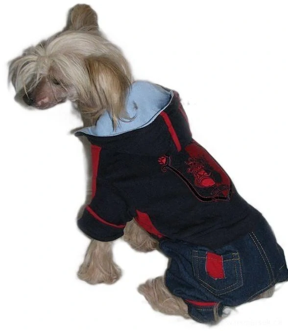 Oblečky pro mini psy 20cm