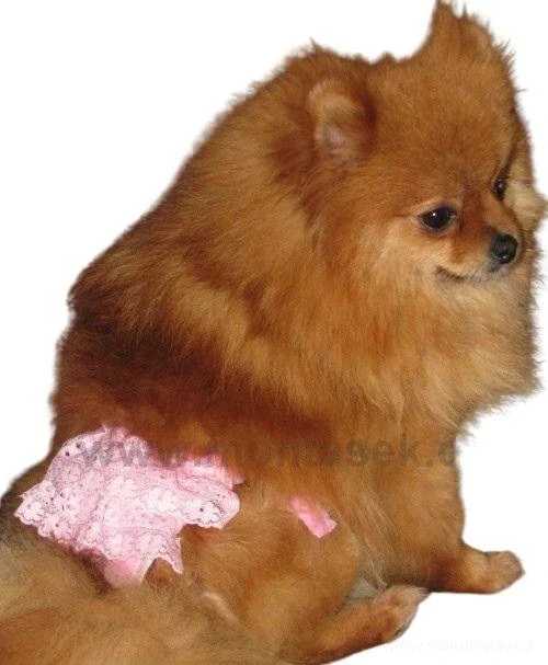 Kalhotky pro hárající fenky růžové s volánky