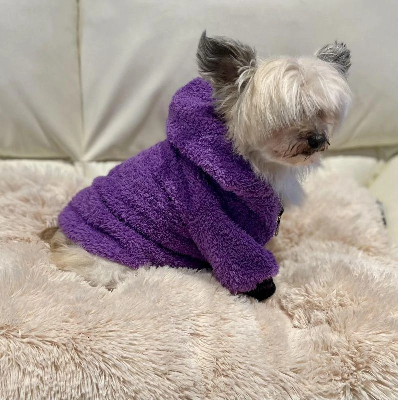 Mikina pro psa, fialová na zip 