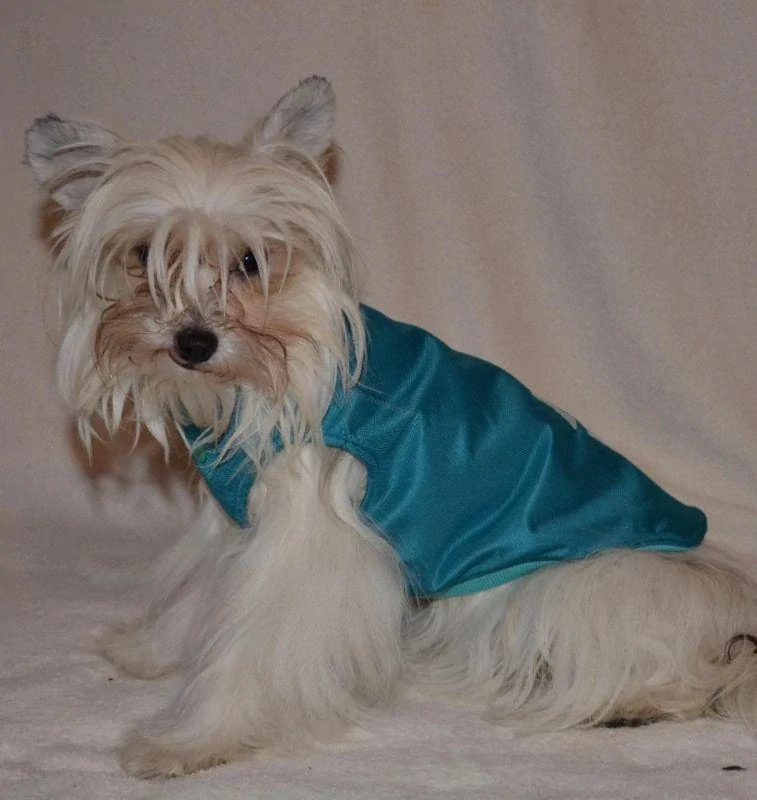 Vesta pro psy s výšivkou 30-38cm červená