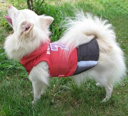 Psí šatičky, oblečky pro psy 23cm