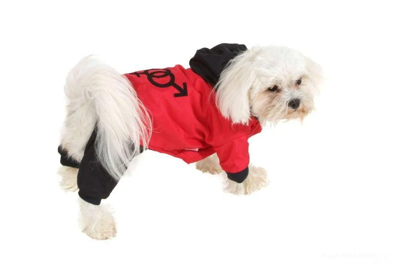 Kombineza pro psa 36-38cm modrá