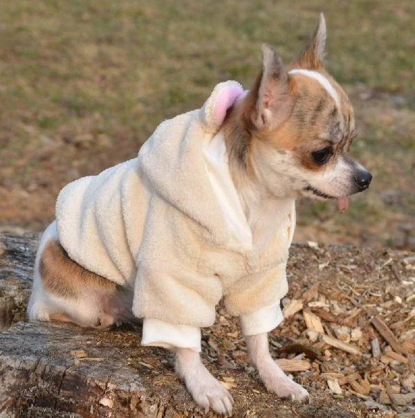 Mikina pro psa 13-15cm béžová