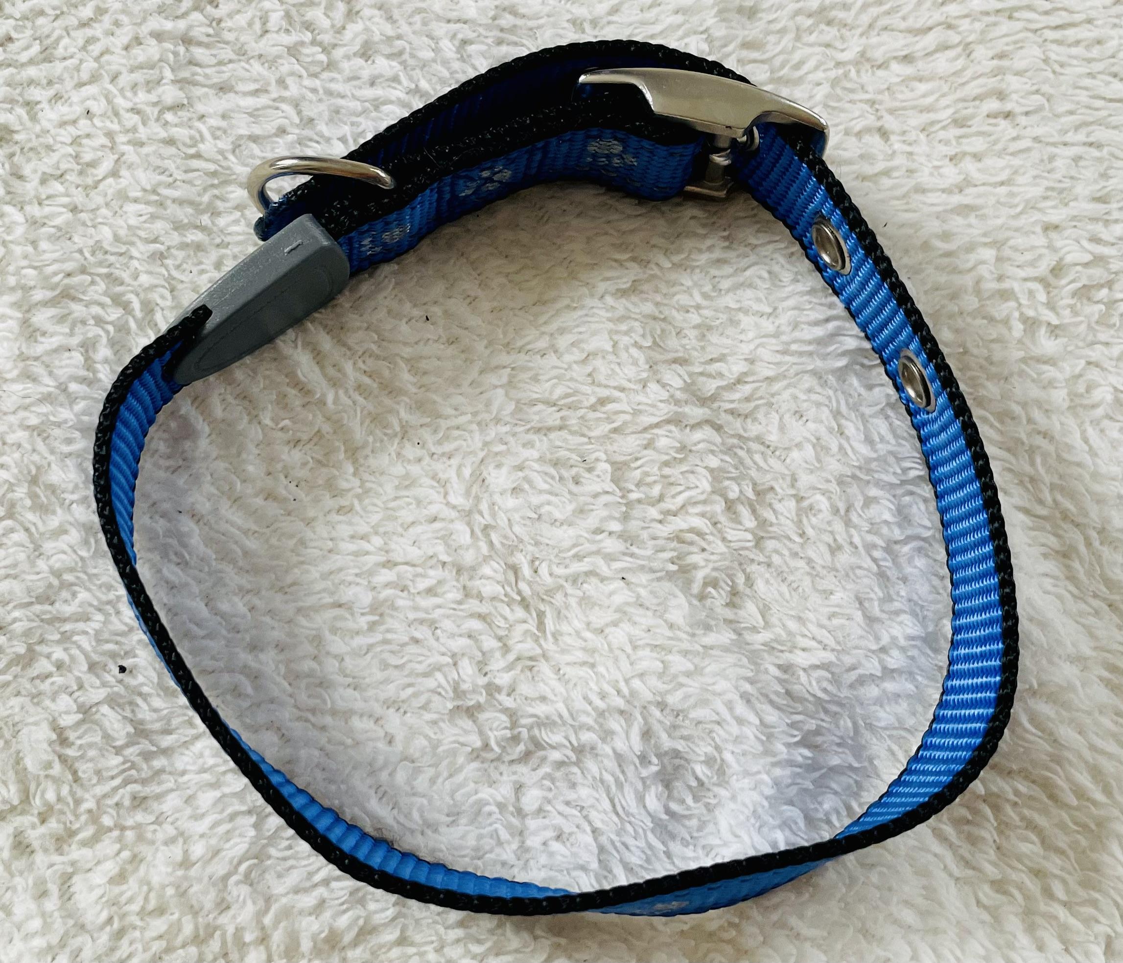 Modrý obojek pro psa 25mm