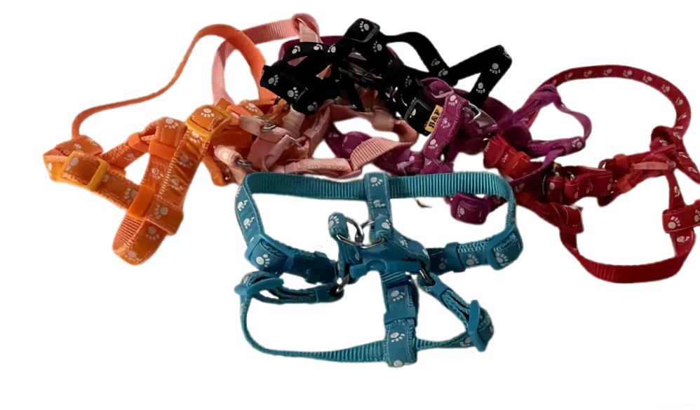 Postroj pro psa tlapky 15mm