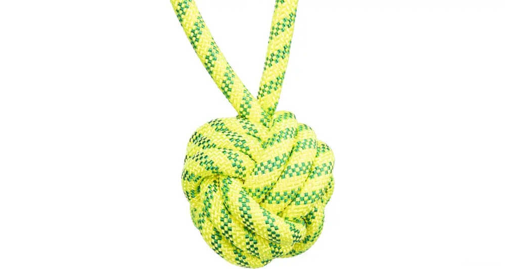 Plovoucí hračky pro psy, míček neon 21cm