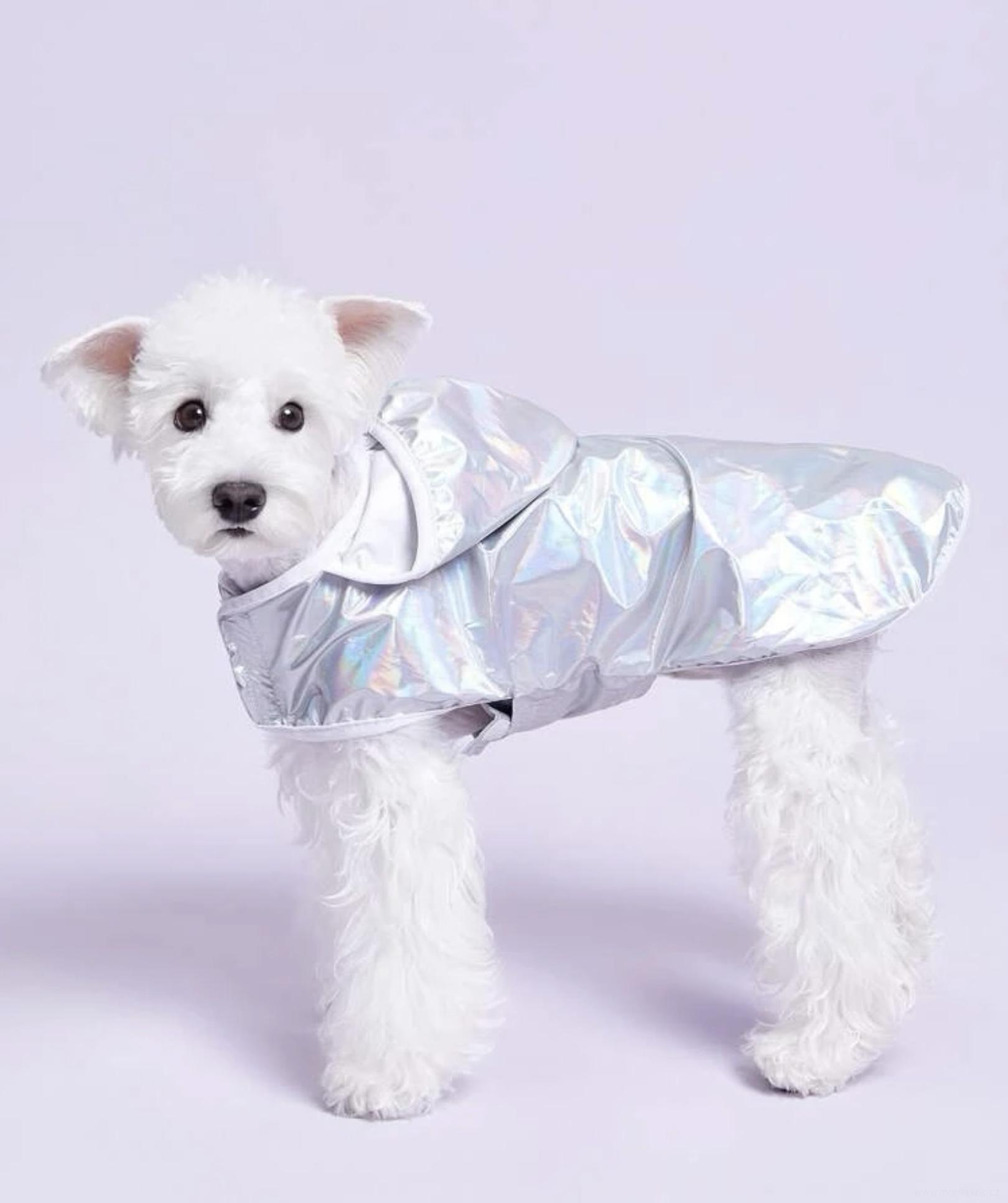 Pláštěnka, vesta pro psa stříbrná