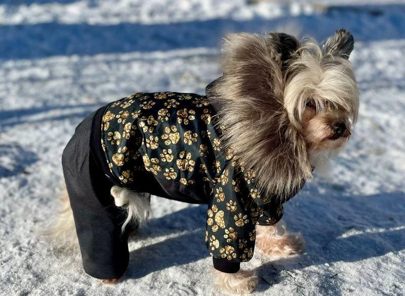 Luxusní zimní kombineza pro psa černá 36-41cm