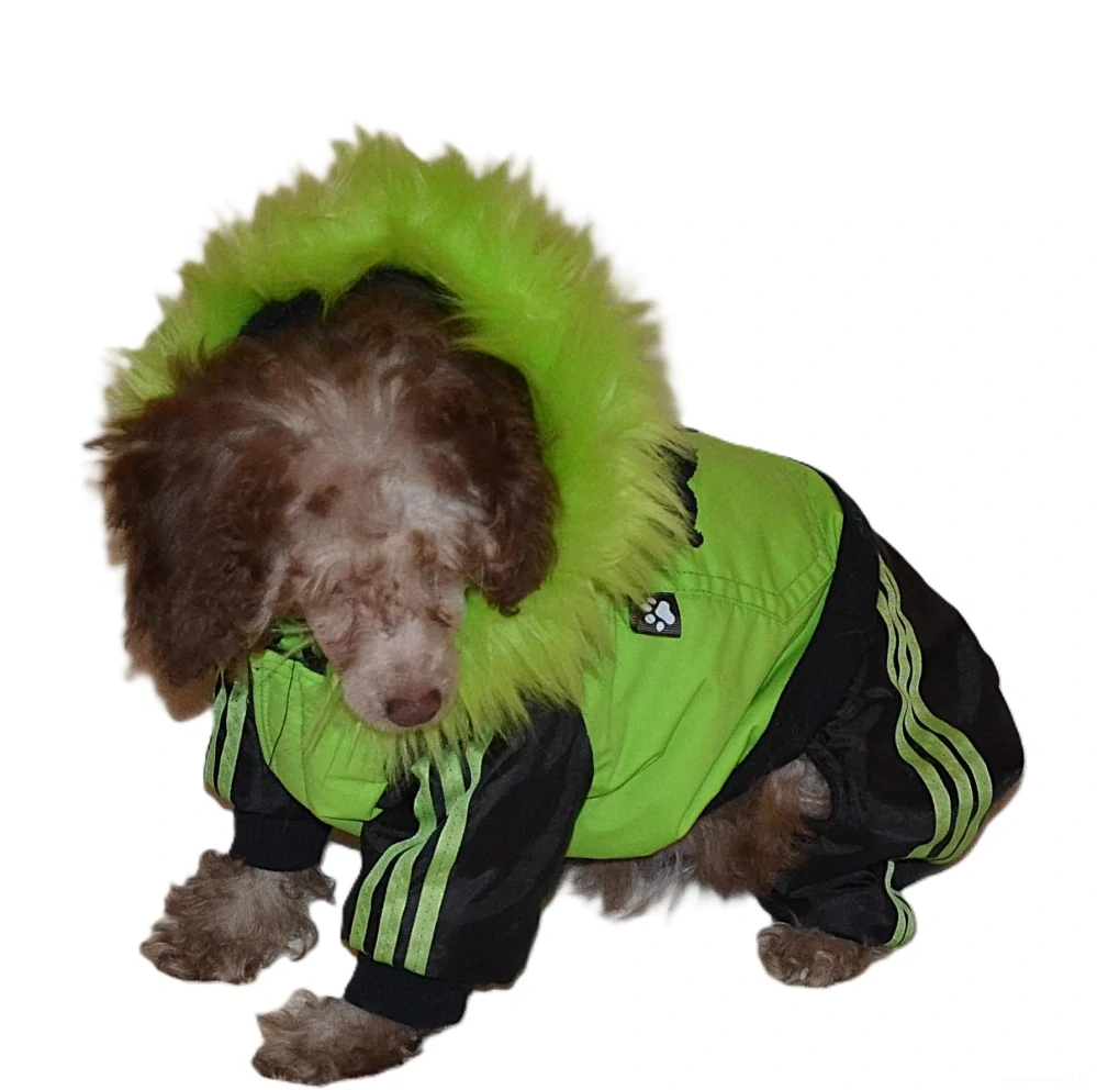 Zimní kombineza pro psa 36-41cm